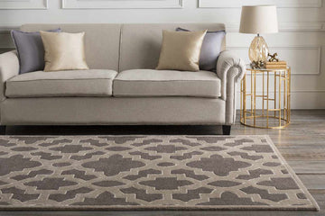 Tusren Transitional Medium Gray/Taupe Area Rug